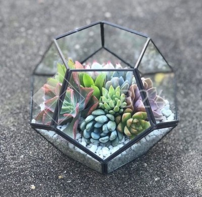 Стекло для флорариума &quot;Додекаэдр 22 см&quot;, комплект 11 деталей