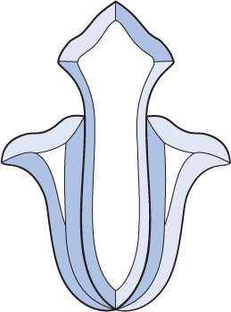 Бевелс AV79 фрамужный (3 элемента) 151 х 204 мм