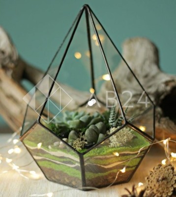 Стекло для флорариума &quot;Капля 25 см&quot;, комплект 10 деталей