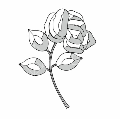 Бевелс VB 24.1-24.2 / RB 24.1-24.2 роза