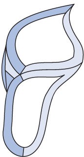 Бевелс AV371 (3 элемента) 82 х 150 мм