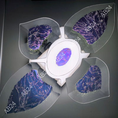 Бевелс AV42 дихроичный (5 элементов) 160 х 260 мм, синий мороз