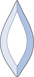 Бевелс AV132 дизайнерский 40 х 90 мм