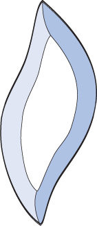 Бевелс AV133 дизайнерский 43 х 100 мм