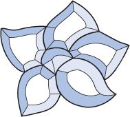 Бевелс AV134 дверной (6 элементов) 155 х 140 мм